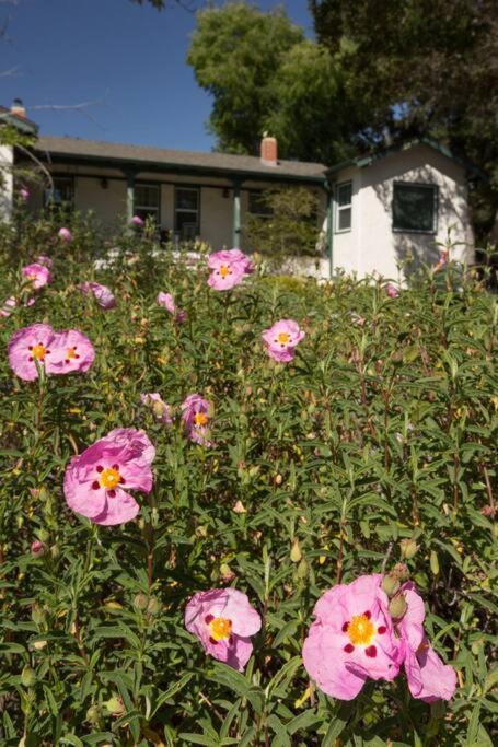 Wine Country Bungalow أتاساديرو المظهر الخارجي الصورة